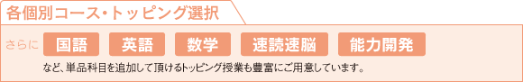 各個別コース・トッピング選択