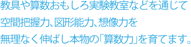 教具や算数おもしろ実験教室などを通じて空間把握力、図形能力、想像力を無理なく伸ばし本物の「算数力」を育てます。